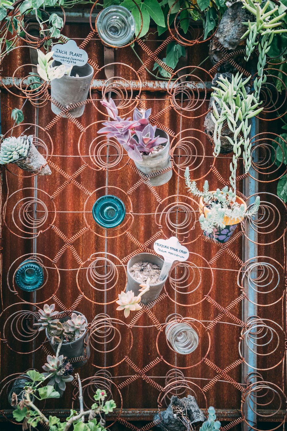 blue and white floral curtain