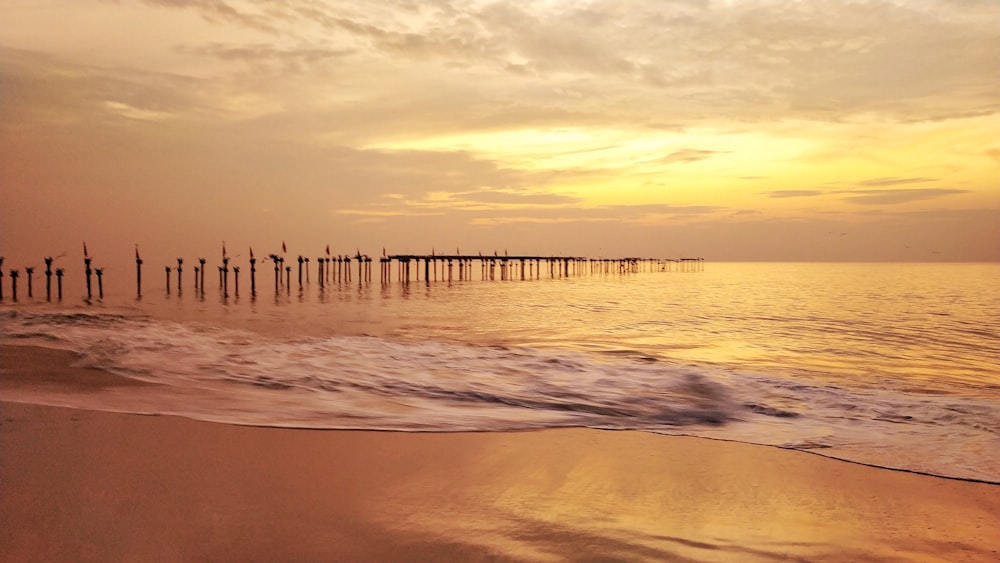 people on beach during sunset