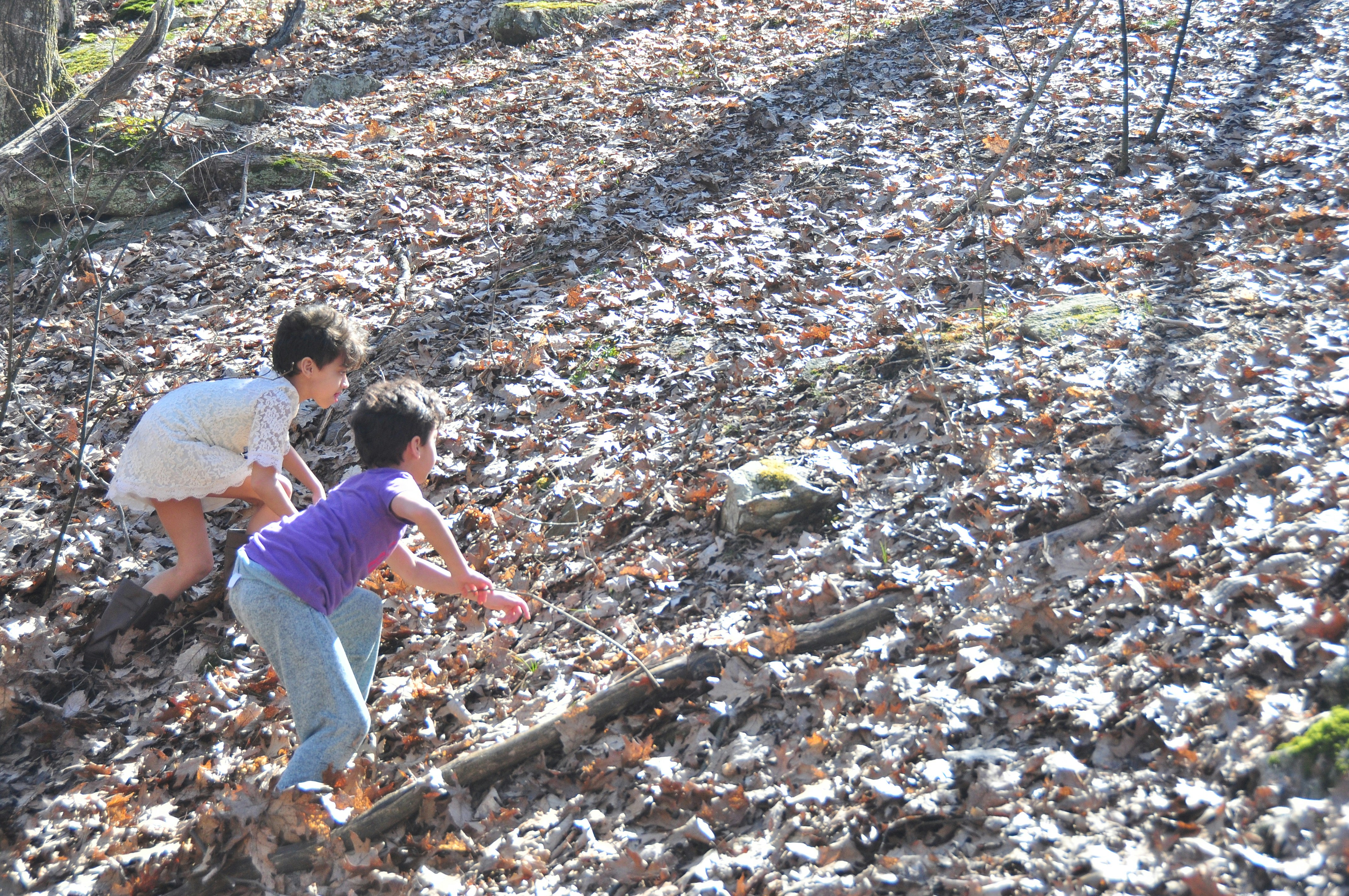 Children exploring forest floor collecting leaves and natural objects in dappled sunlight