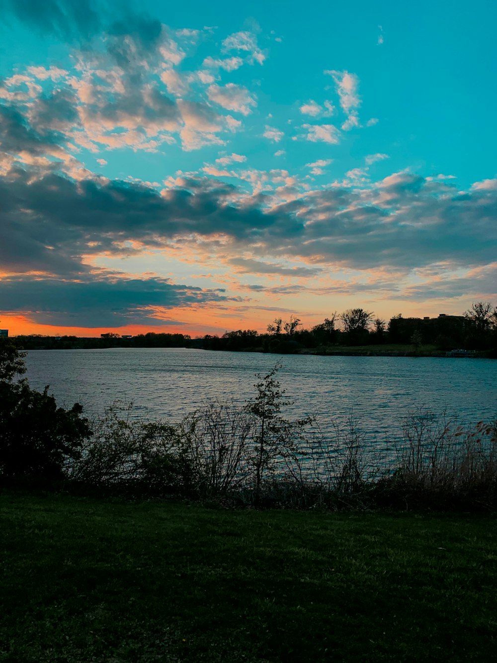 body of water near trees during sunset