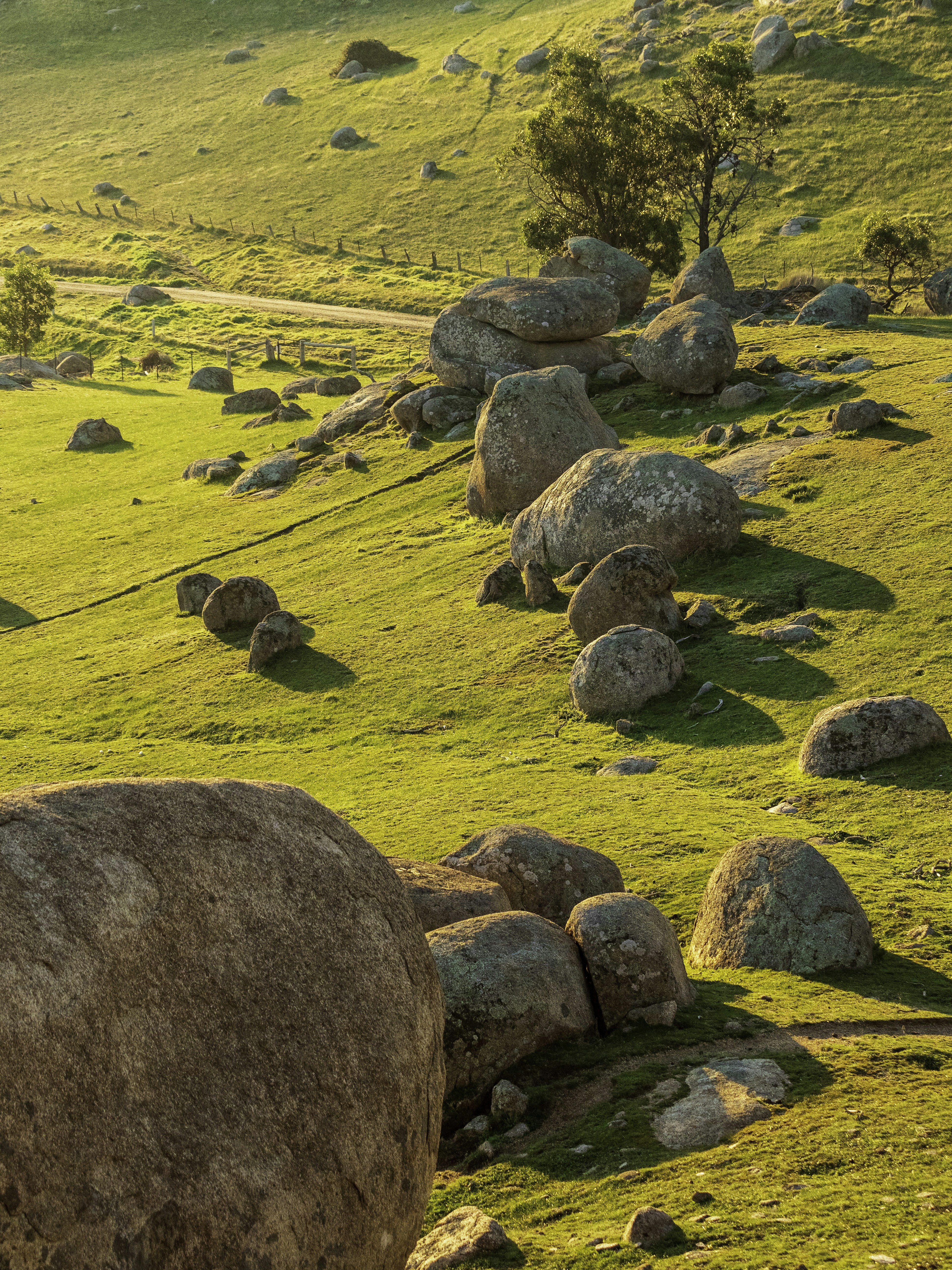 Brown rock on green grass field during daytime photo – Free Nature ...