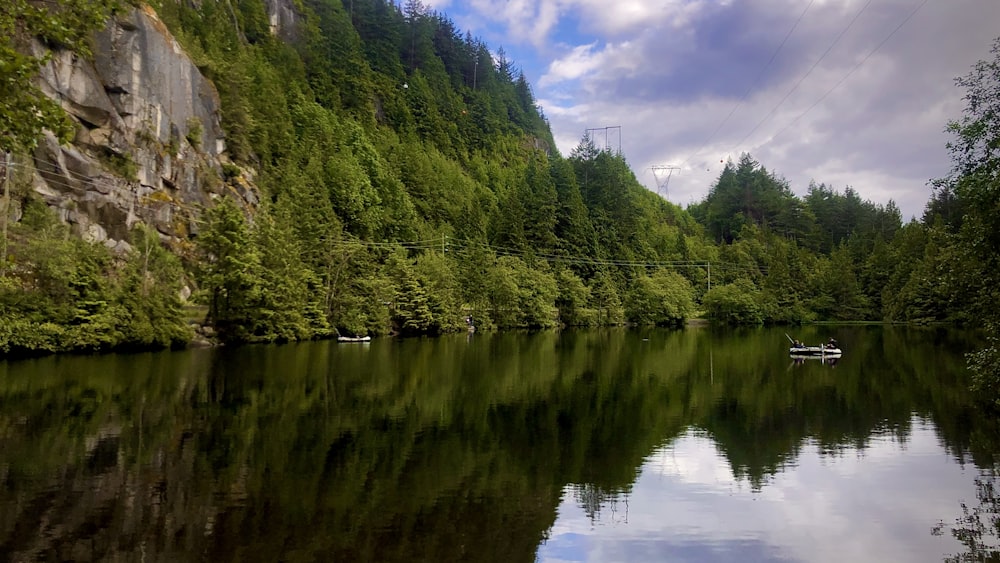 green trees beside river under blue sky during daytime