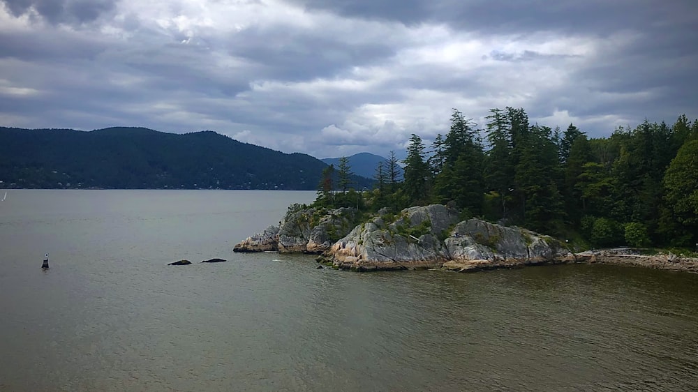 green trees on island during daytime