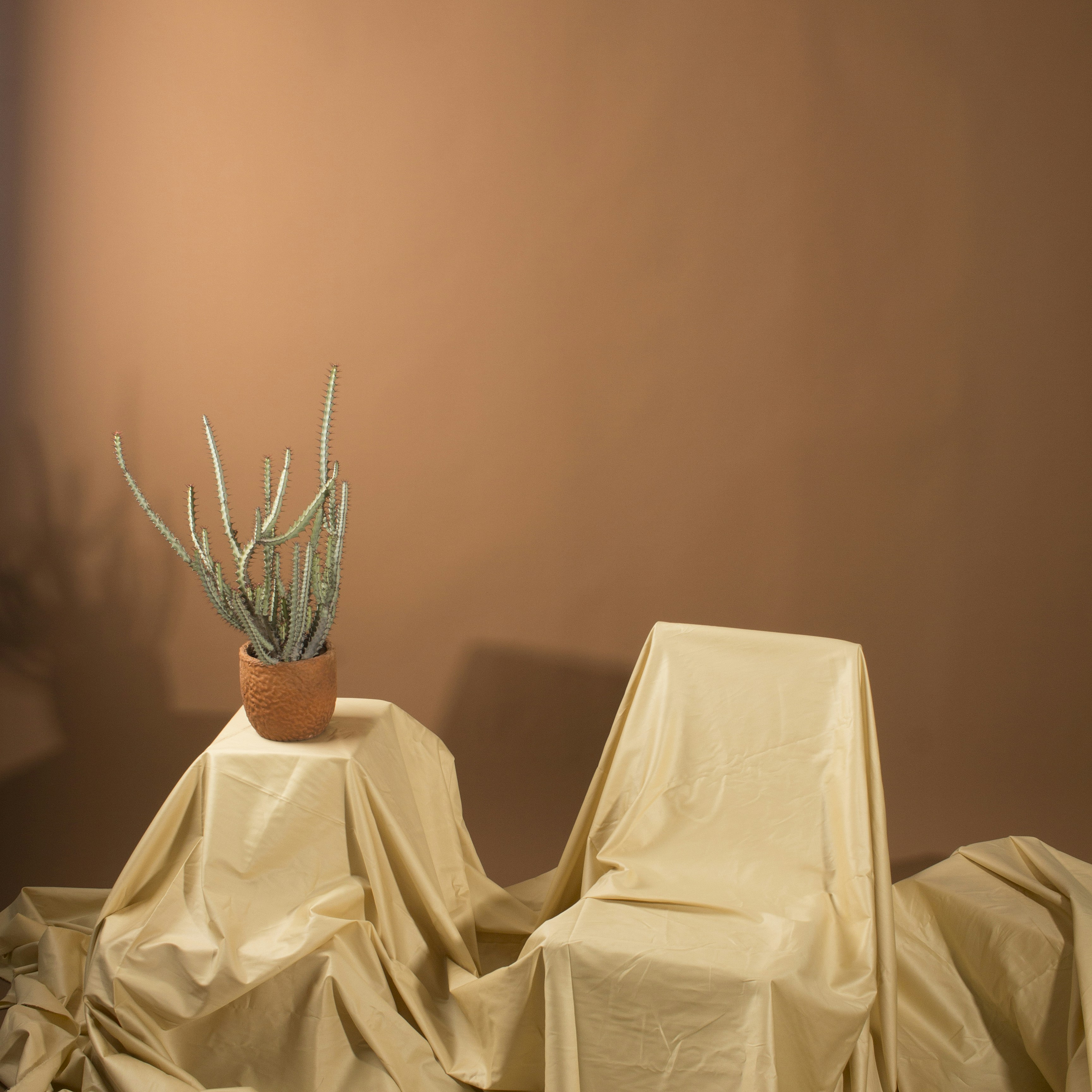 Plant Power 48 best free plant, chicago, house plant and garden photos on Unsplash