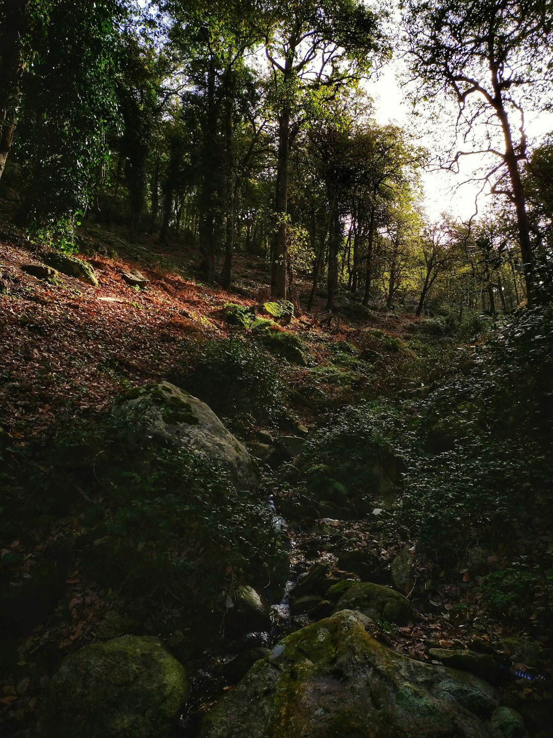 travelers stories about Natural landscape in Annaba, Algeria