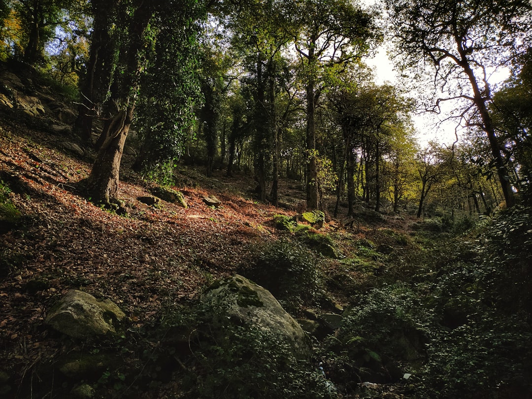 travelers stories about Natural landscape in Annaba, Algeria