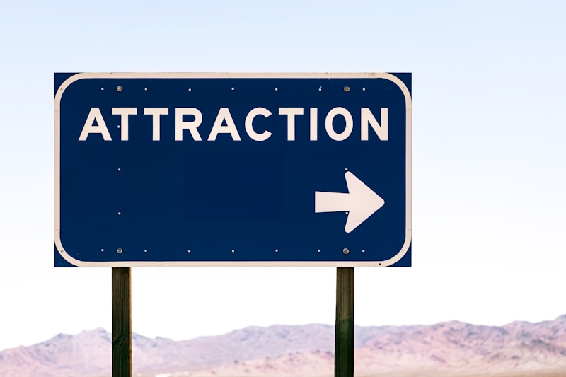 Understanding Your Attachment Style: The Secret Language of Connection