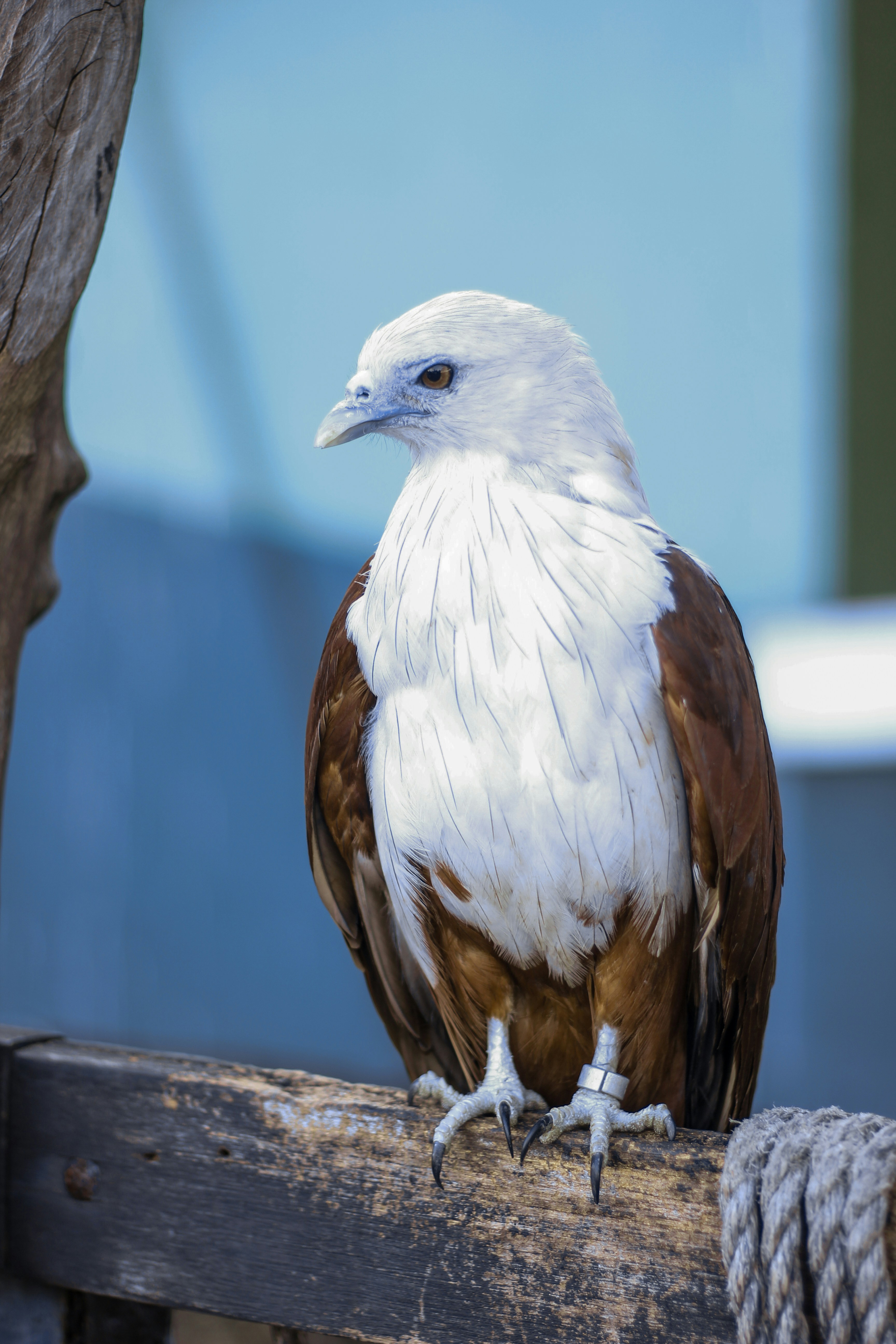 Photo by ivanflorendo04