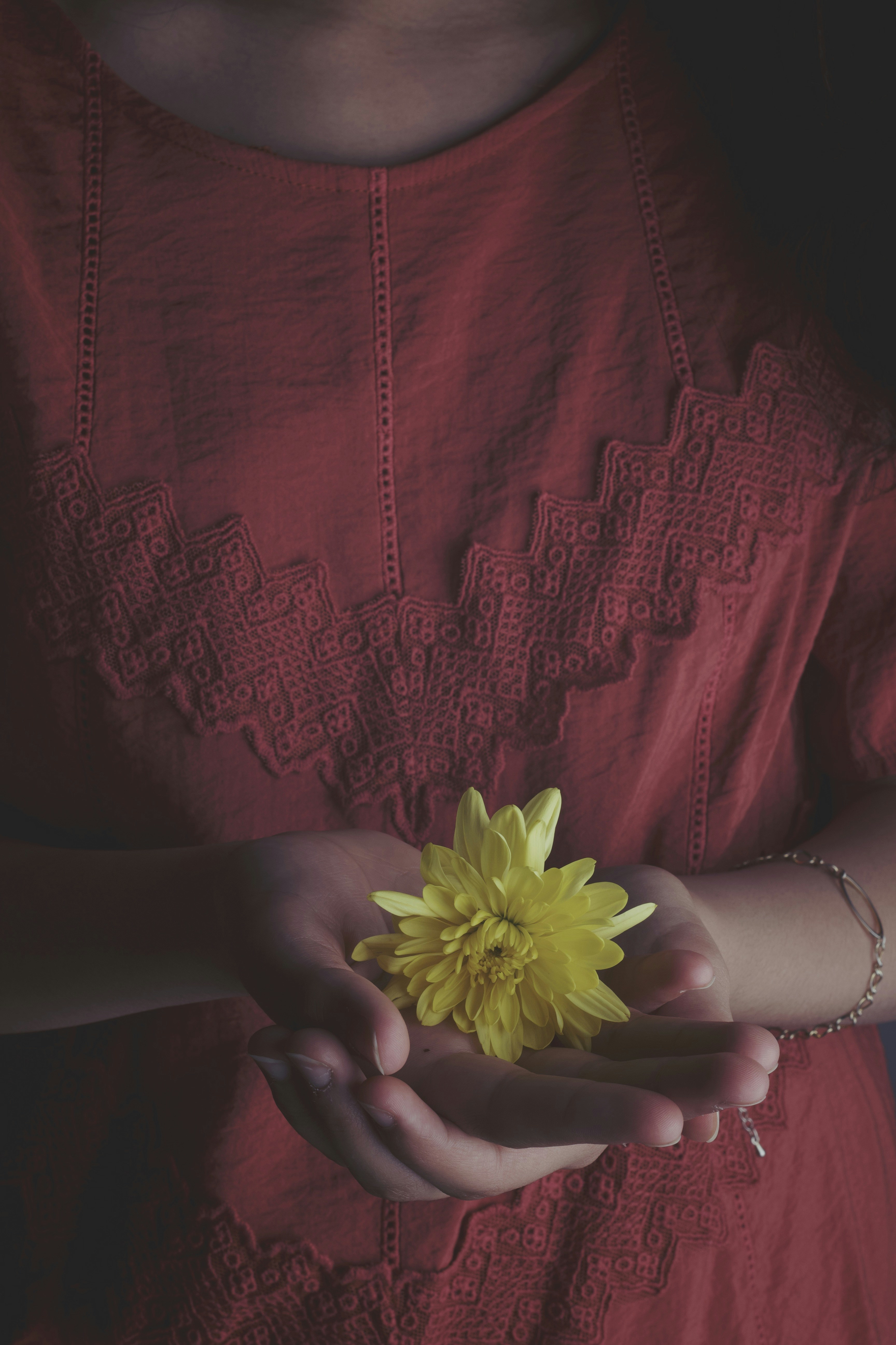 Persona che tiene il fiore giallo della margherita