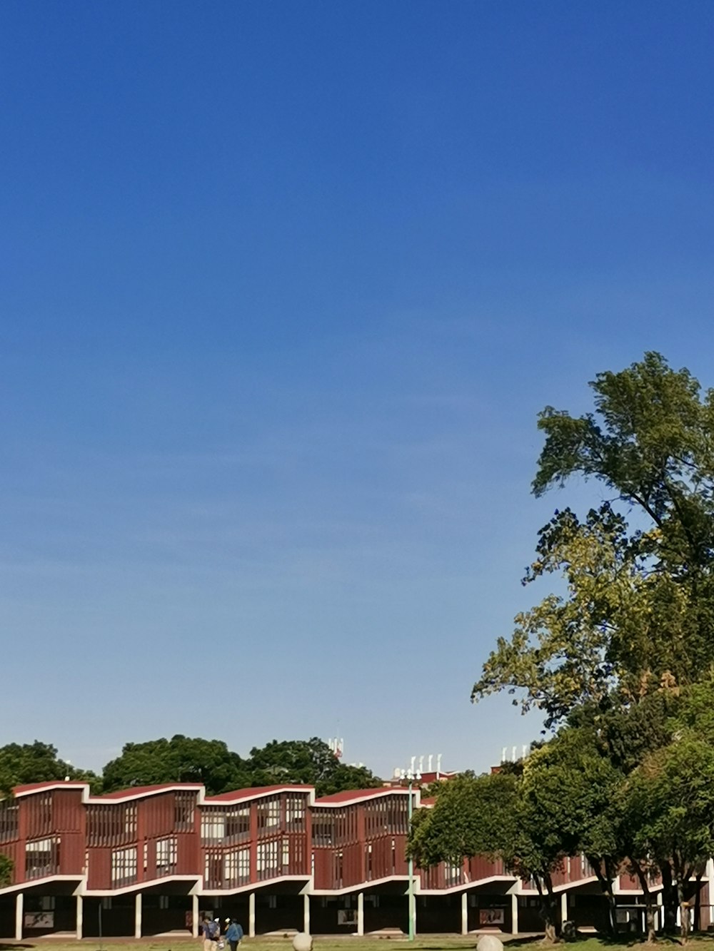 green trees near brown and white concrete building during daytime