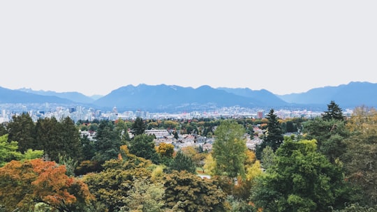 green trees near city buildings during daytime in Queen Elizabeth Park Canada