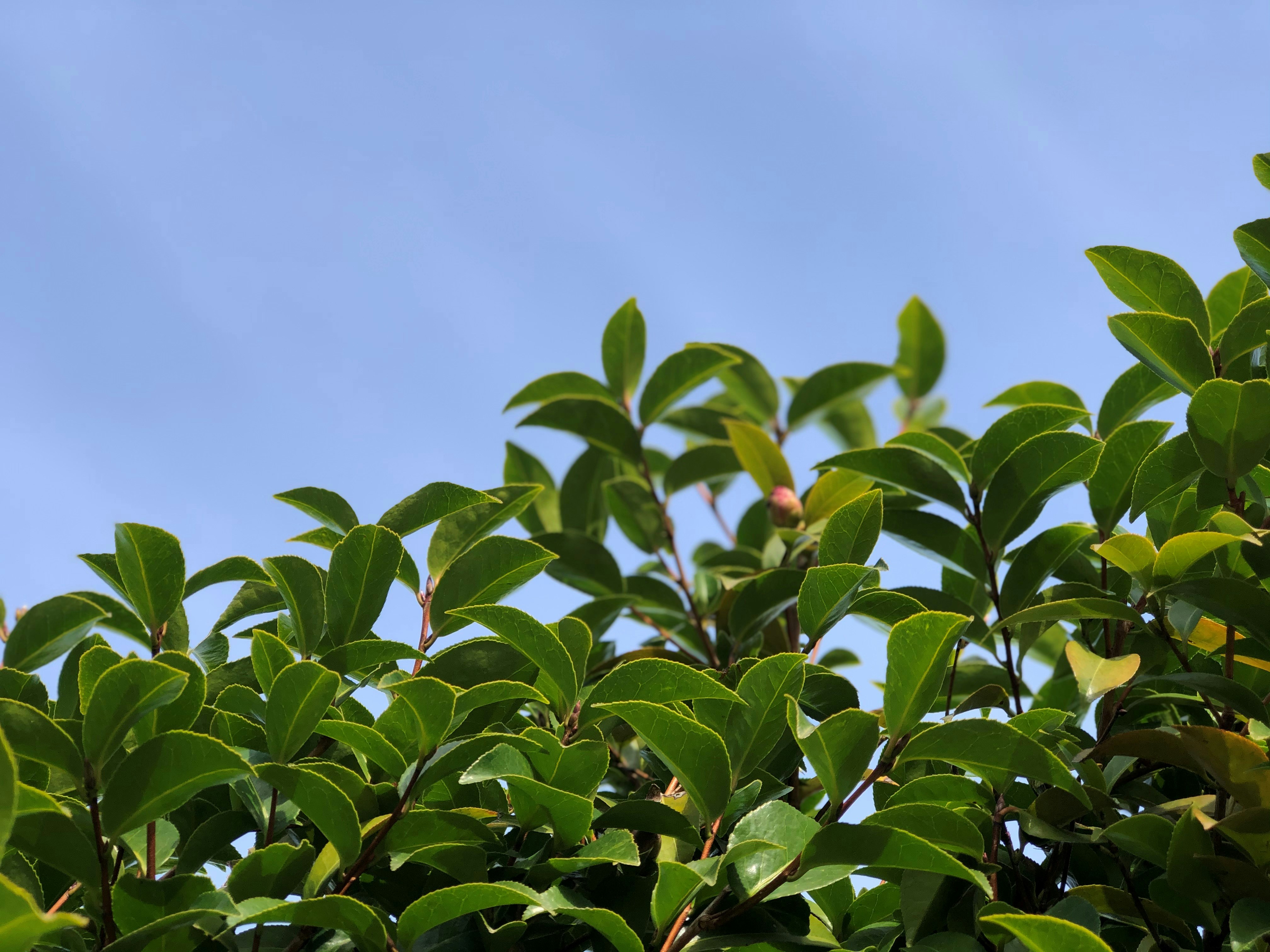 Photo by choona_fish