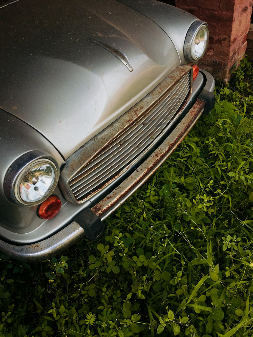 brown car on green grass