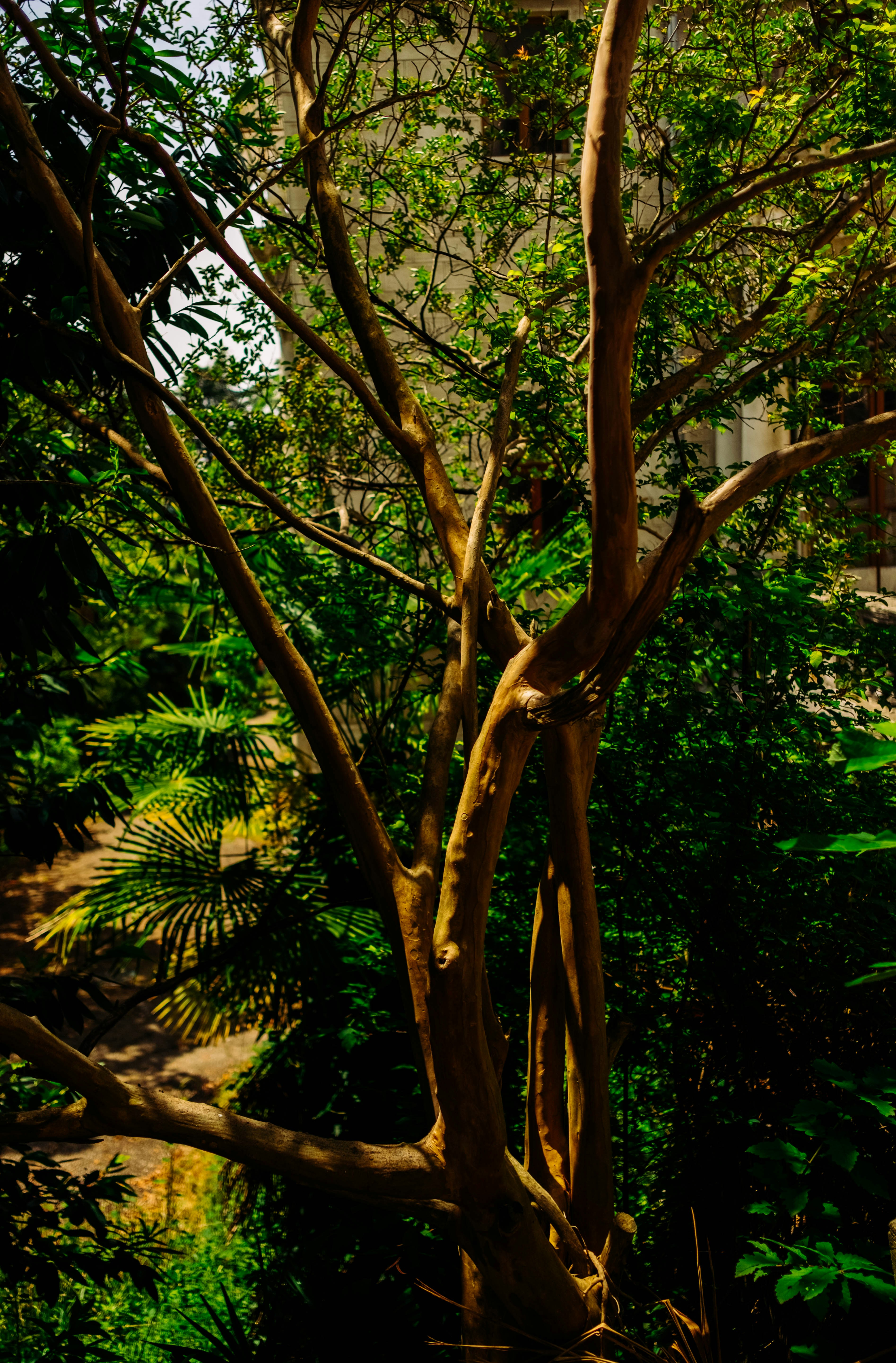 Photo by igorstarkoff