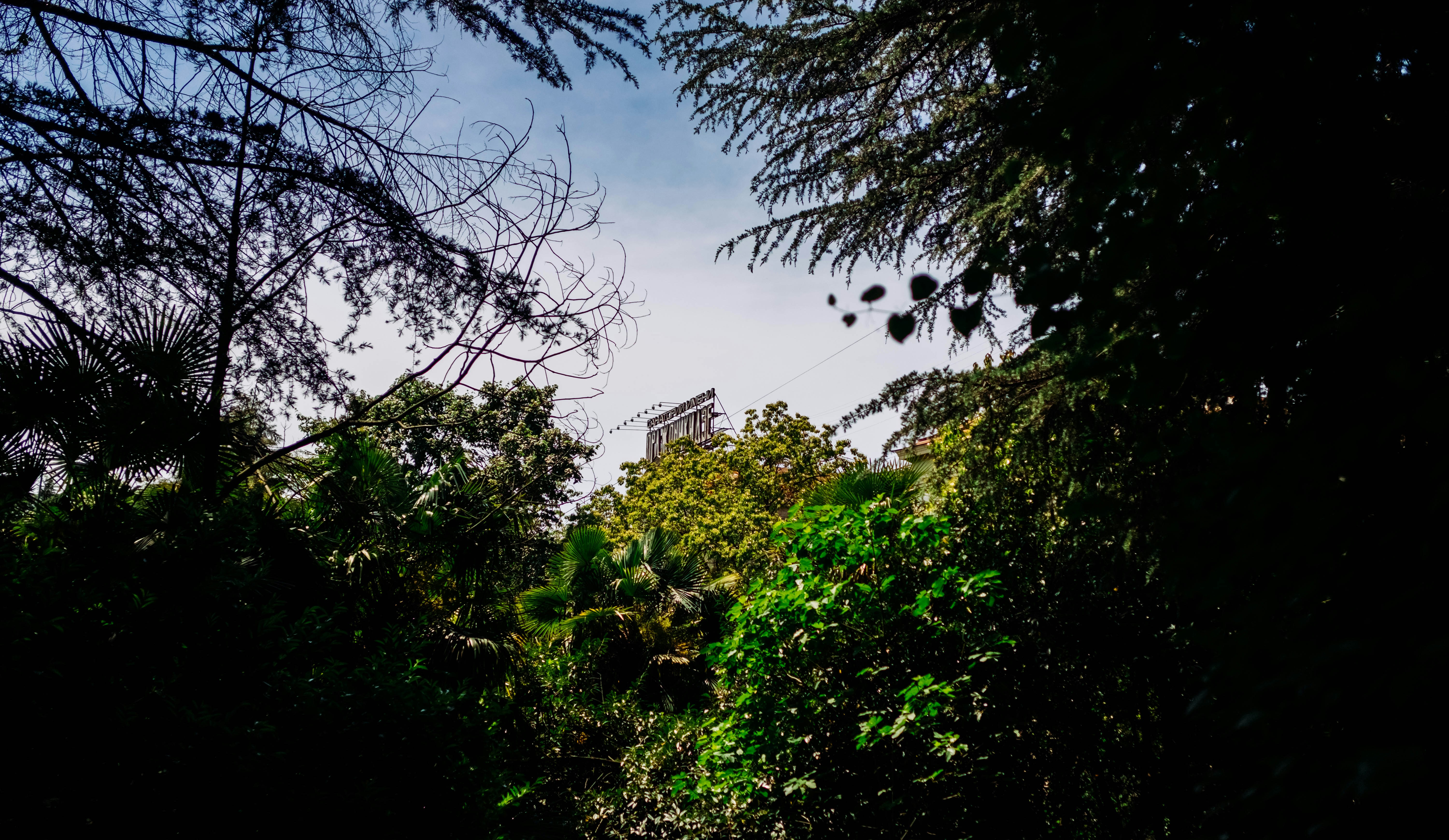 Photo by igorstarkoff