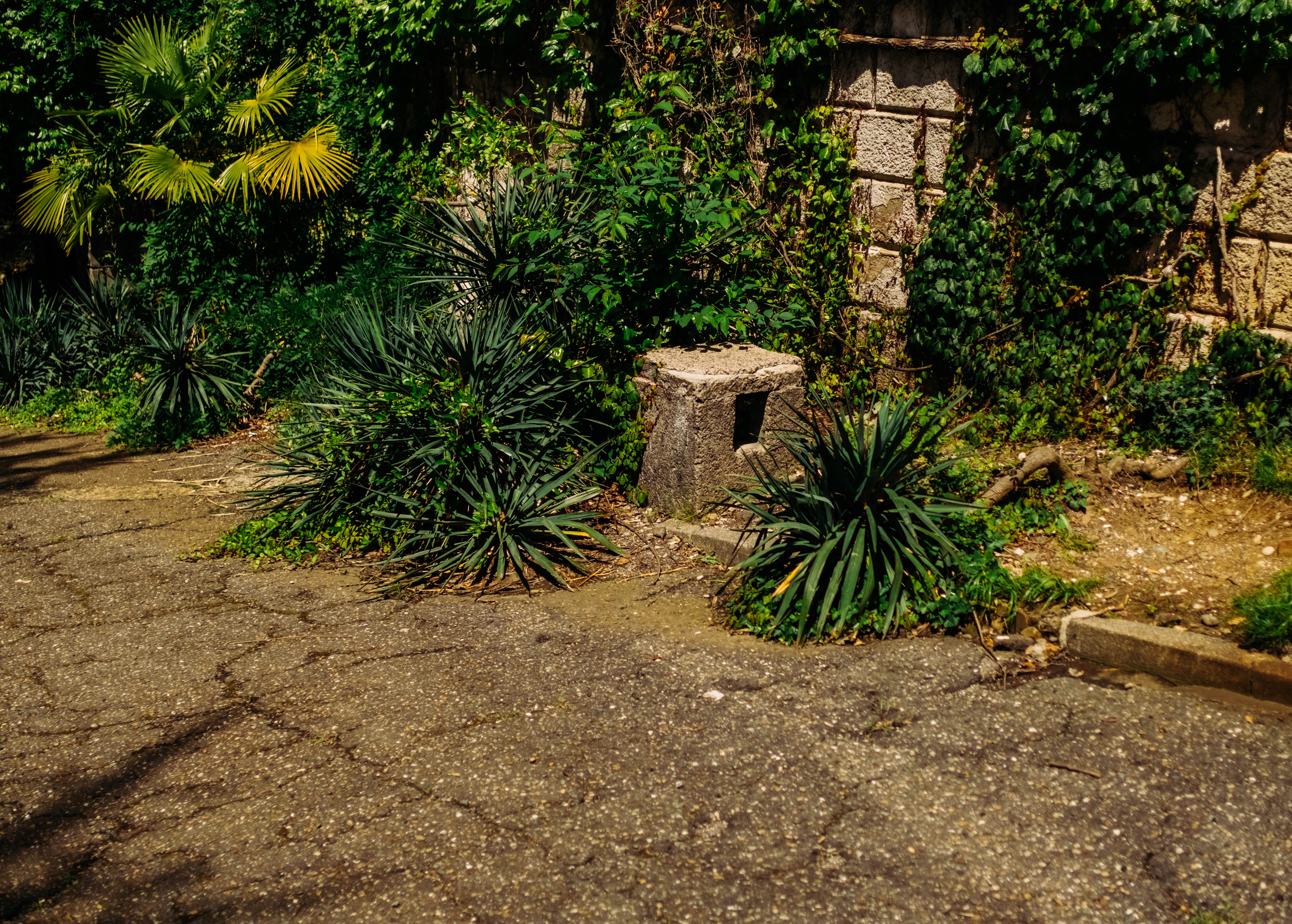 Photo by igorstarkoff