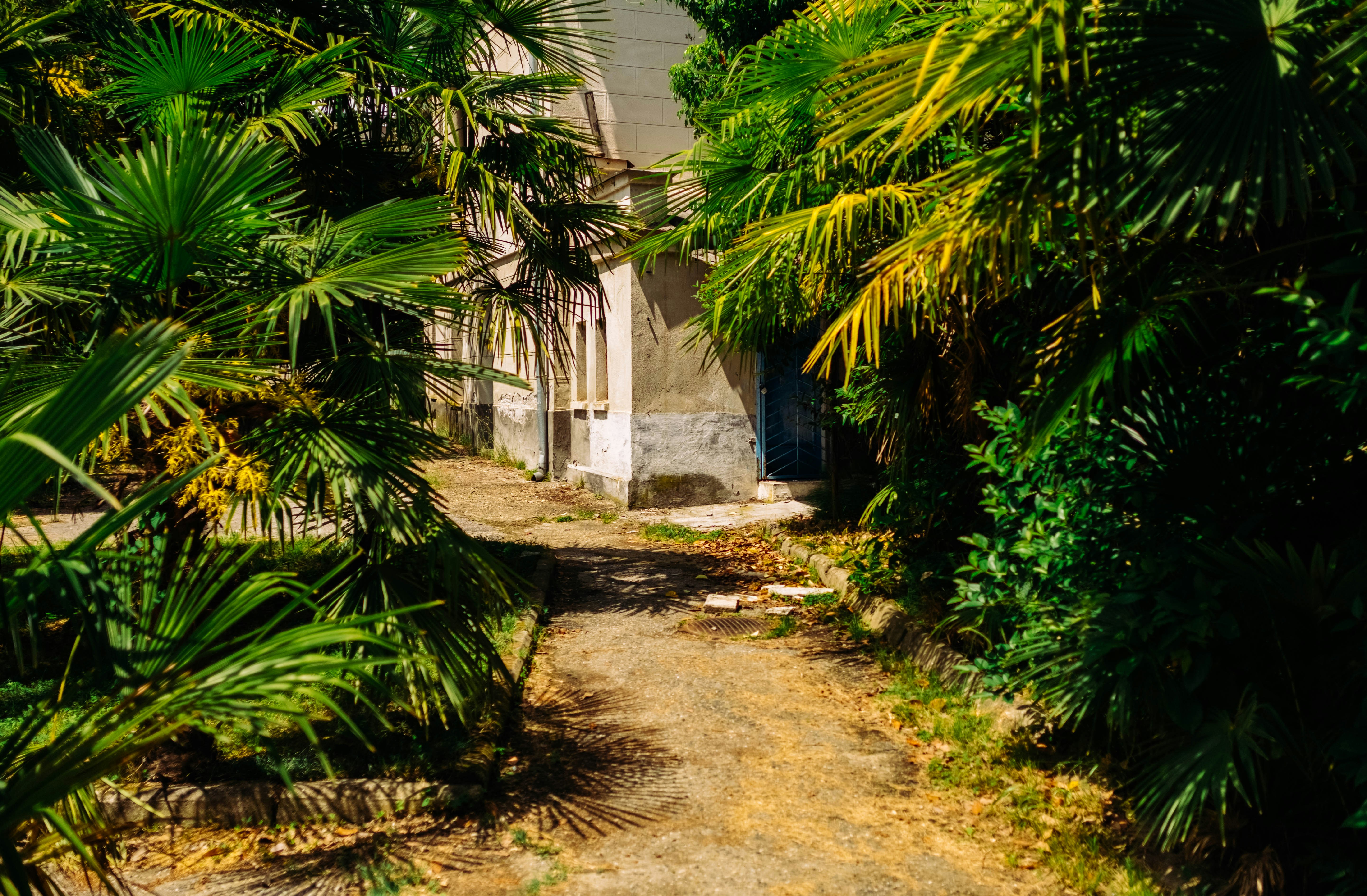 Photo by igorstarkoff