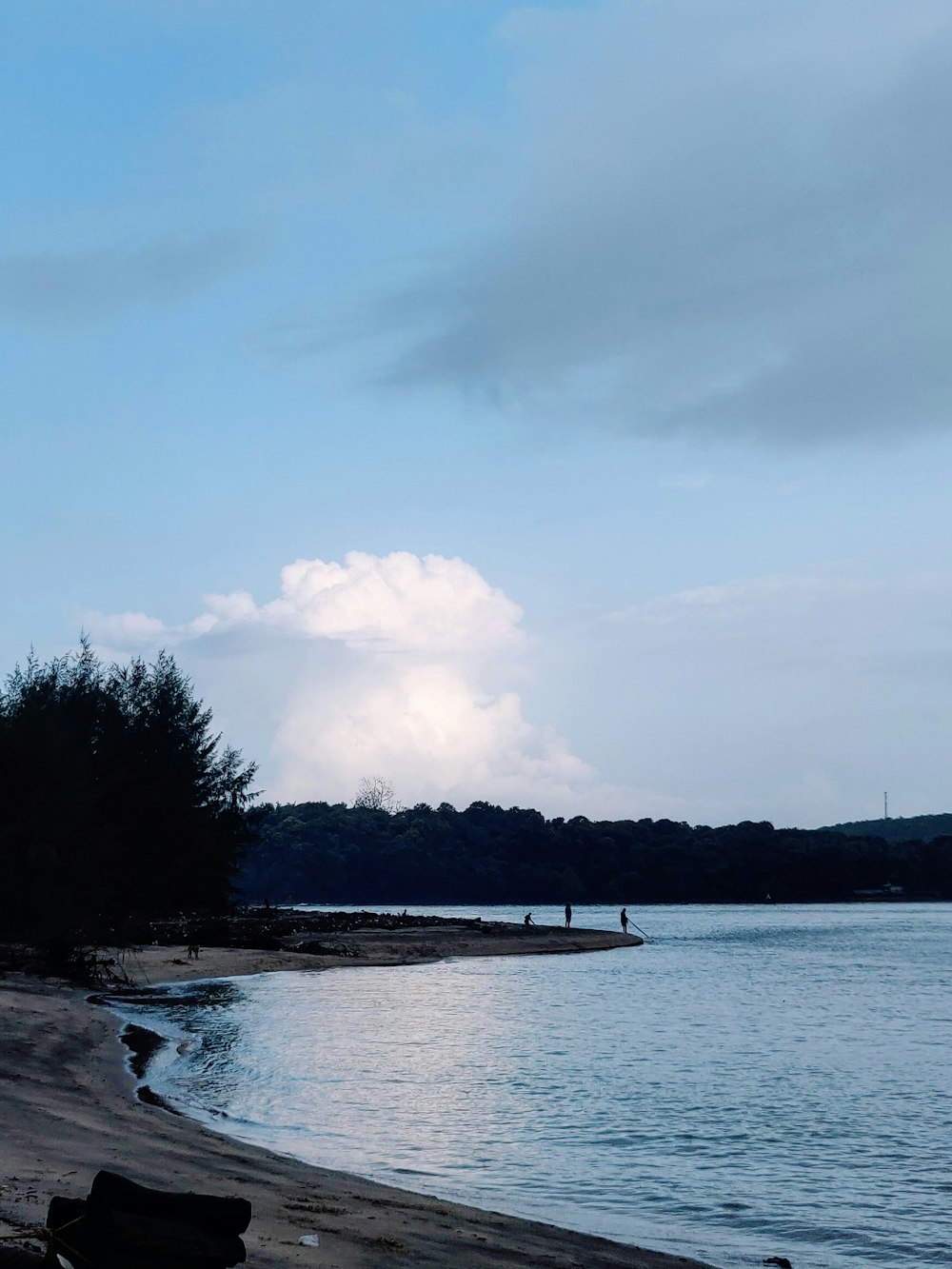 body of water near trees under white clouds and blue sky during daytime