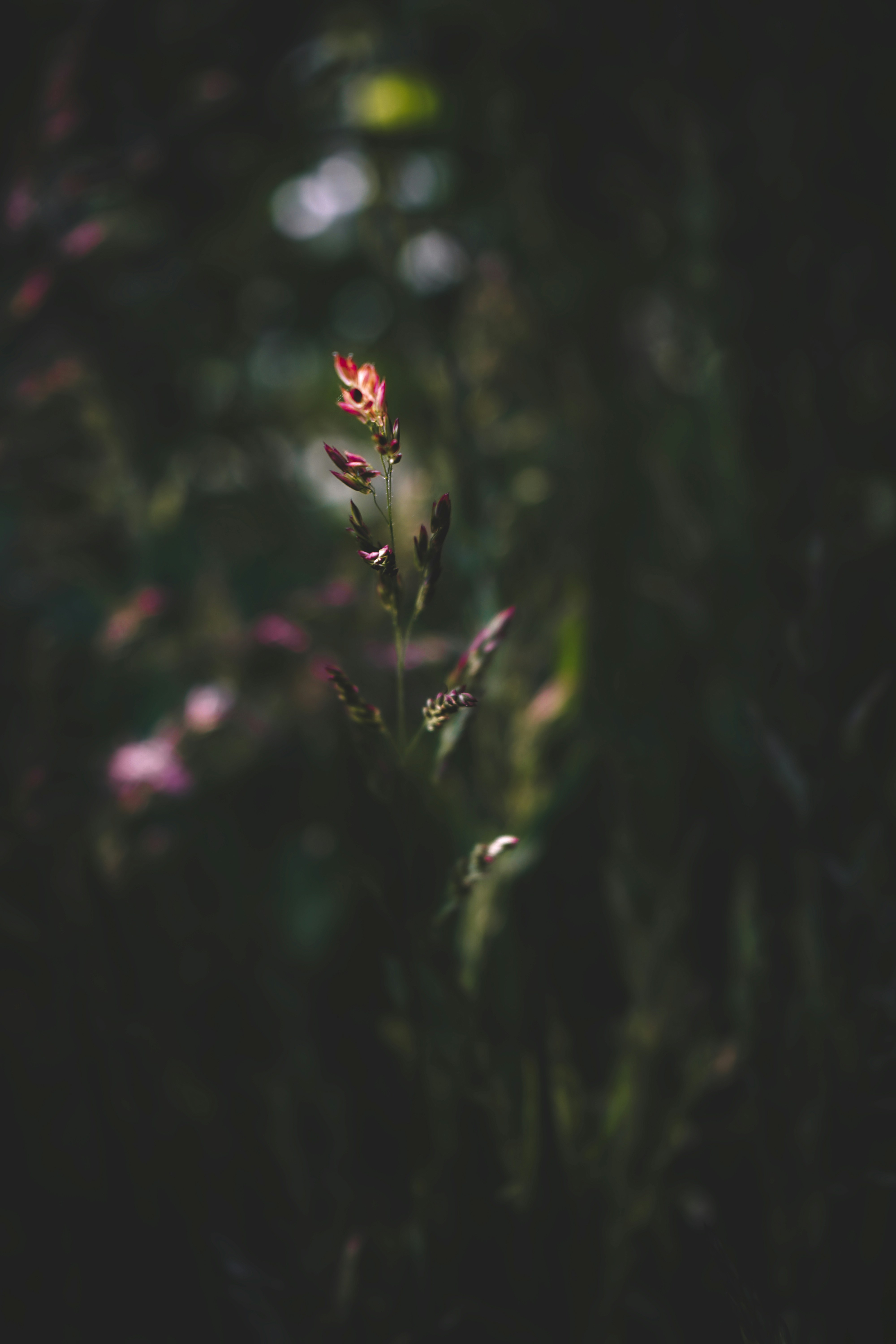 Photo by isabelnoschka