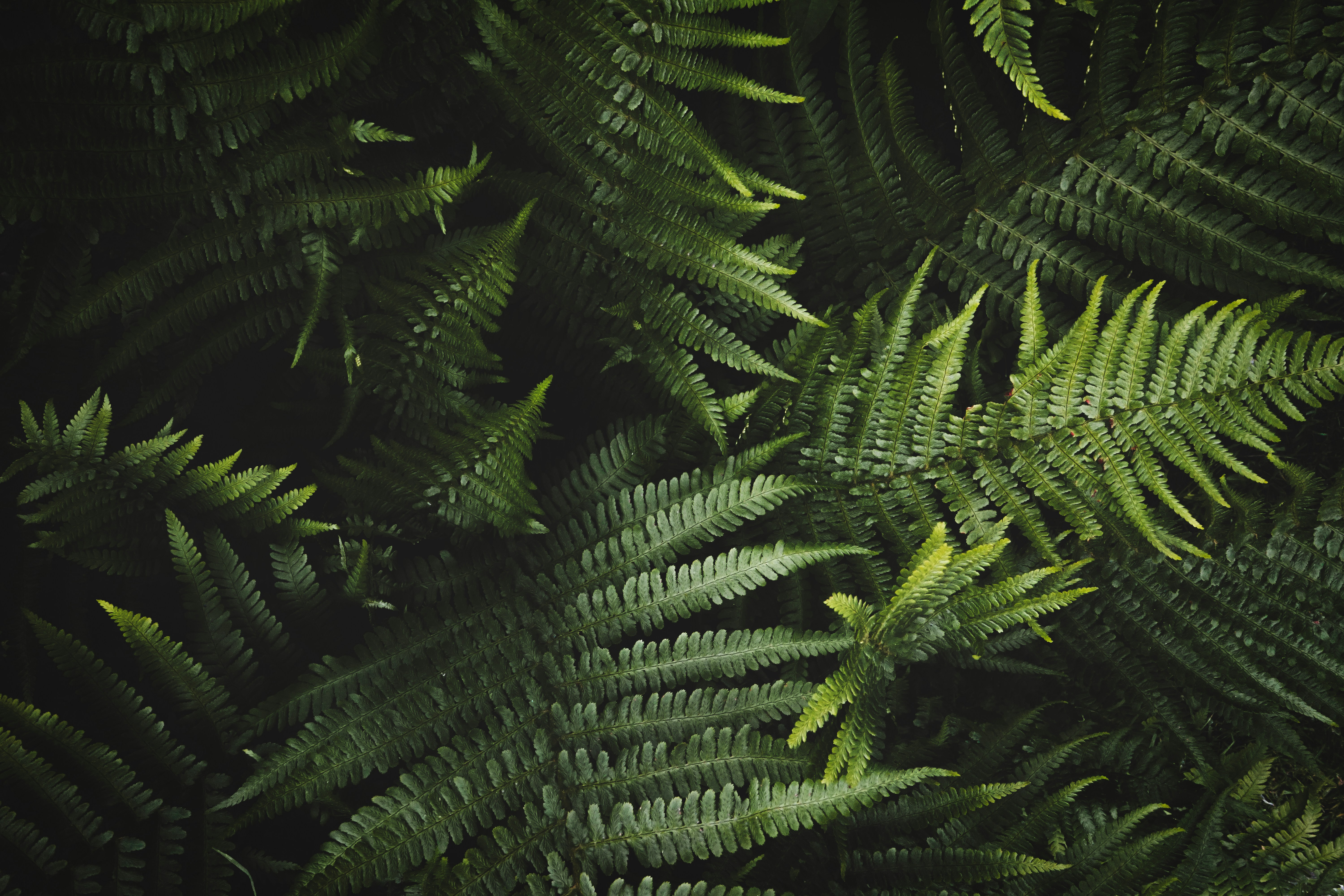 Photo by isabelnoschka