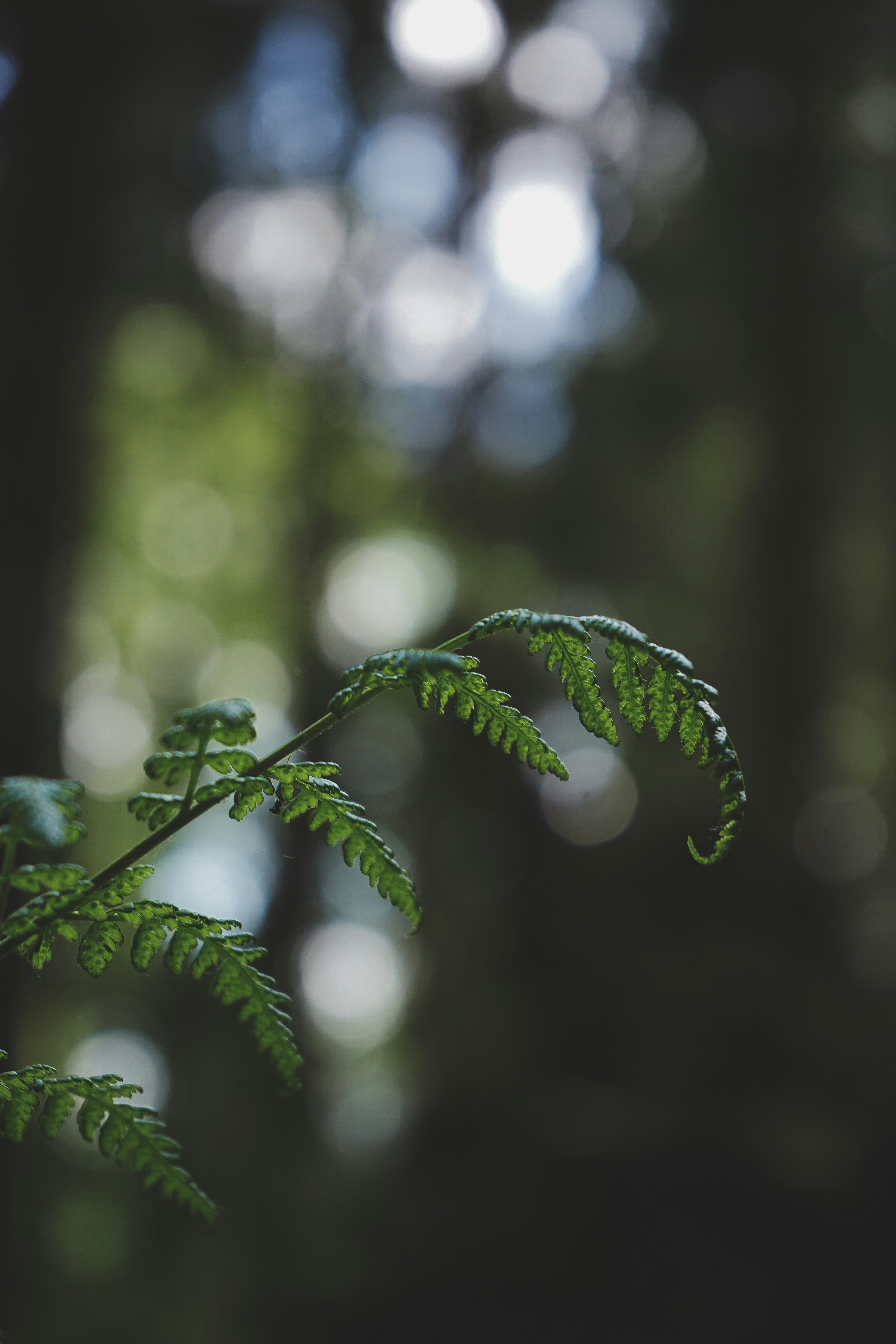 Photo by isabelnoschka