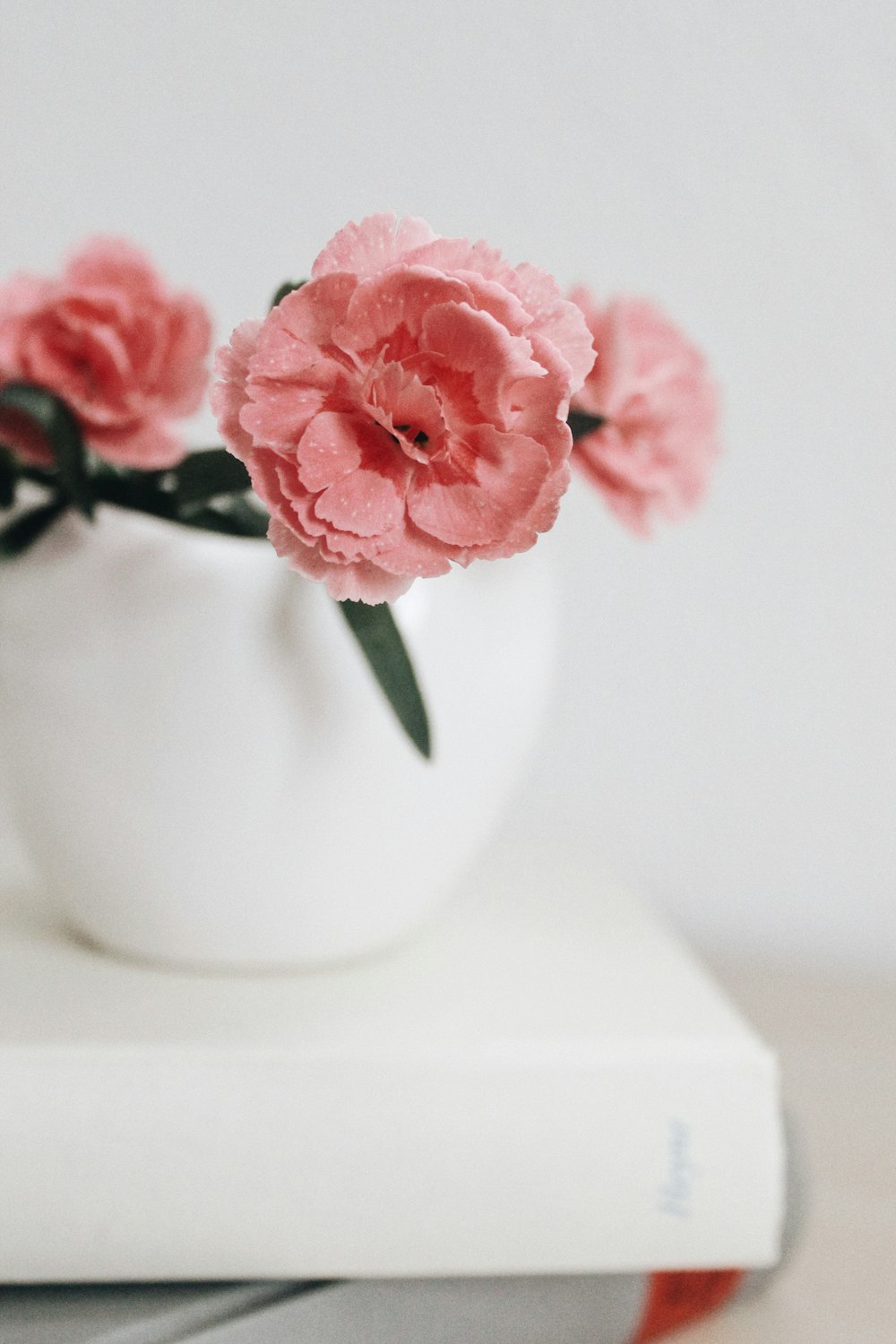 pink flower in white ceramic vase