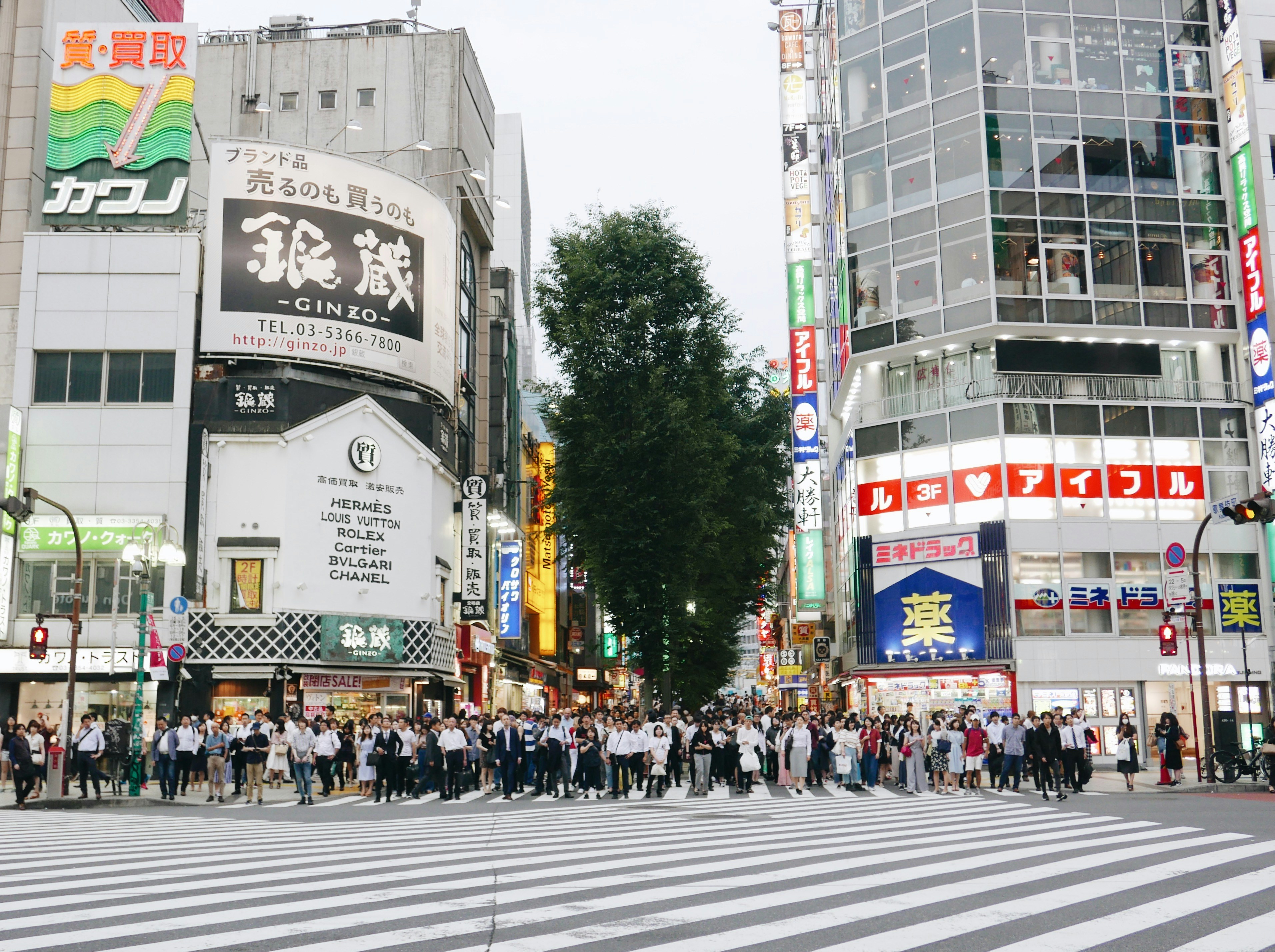 Japanese idol fans cheering