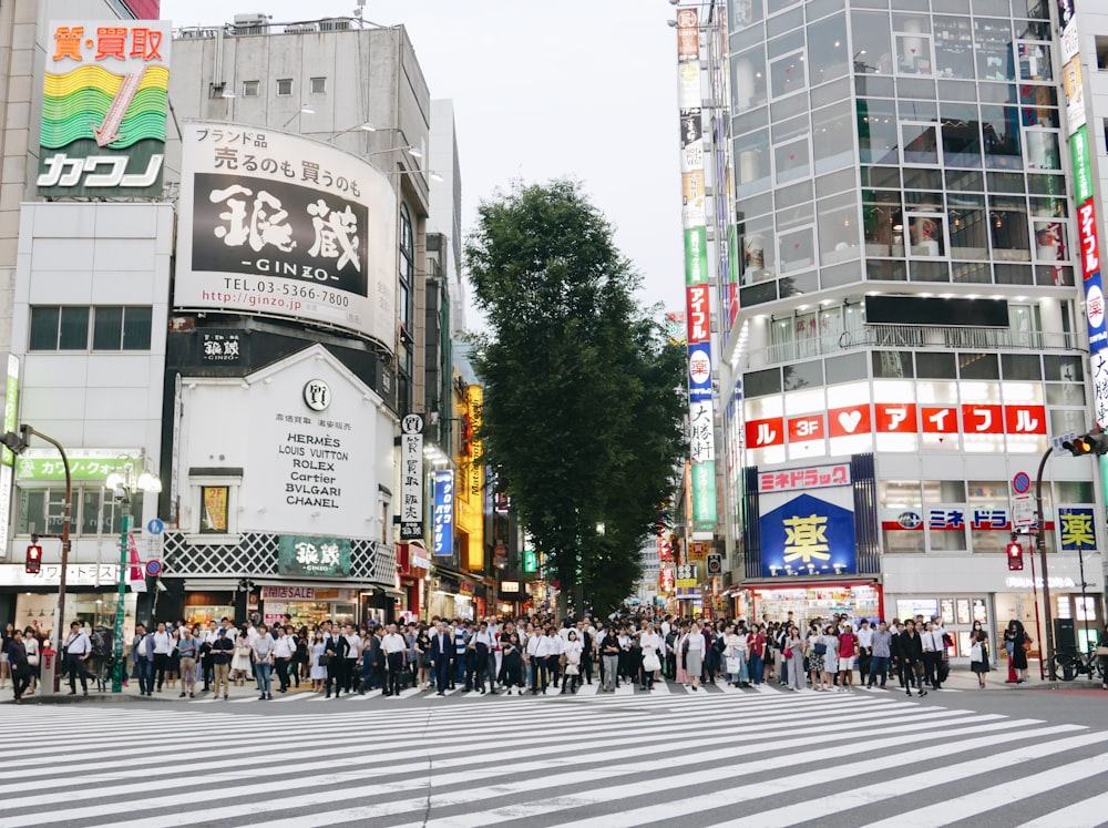 people walking on pedestrian lane during daytime