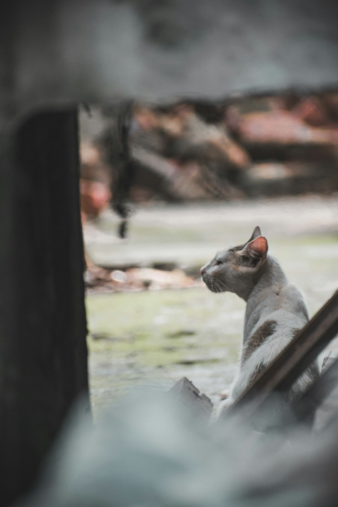 Wildlife photo spot Guwahati Jagiroad