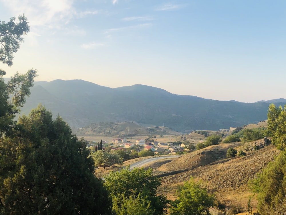 green trees and brown mountains during daytime