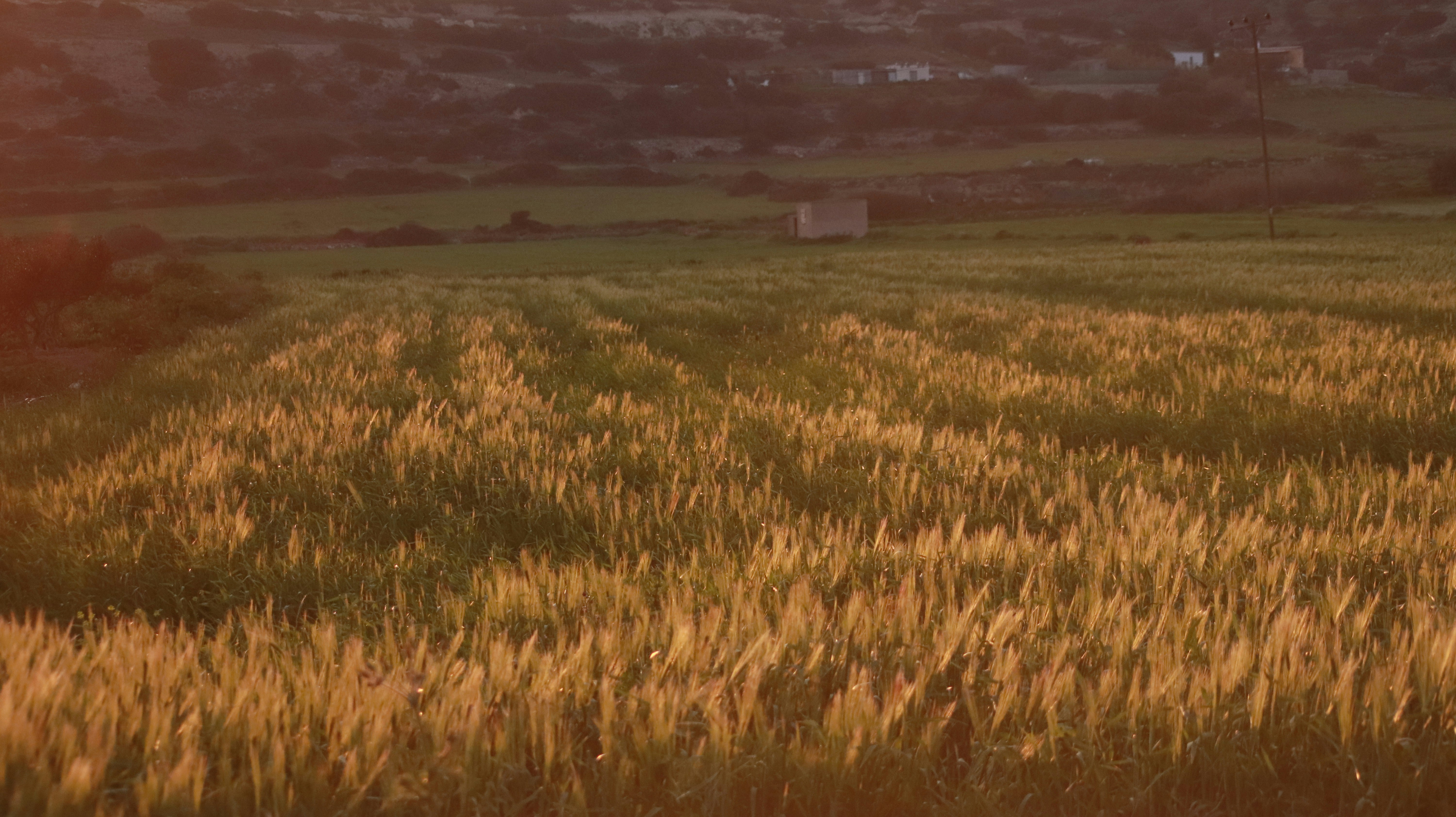 Photo by mary_fotinaki