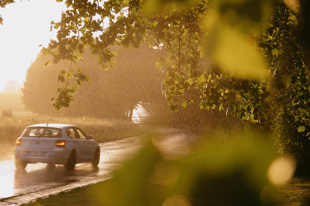 black car on road between trees during daytime