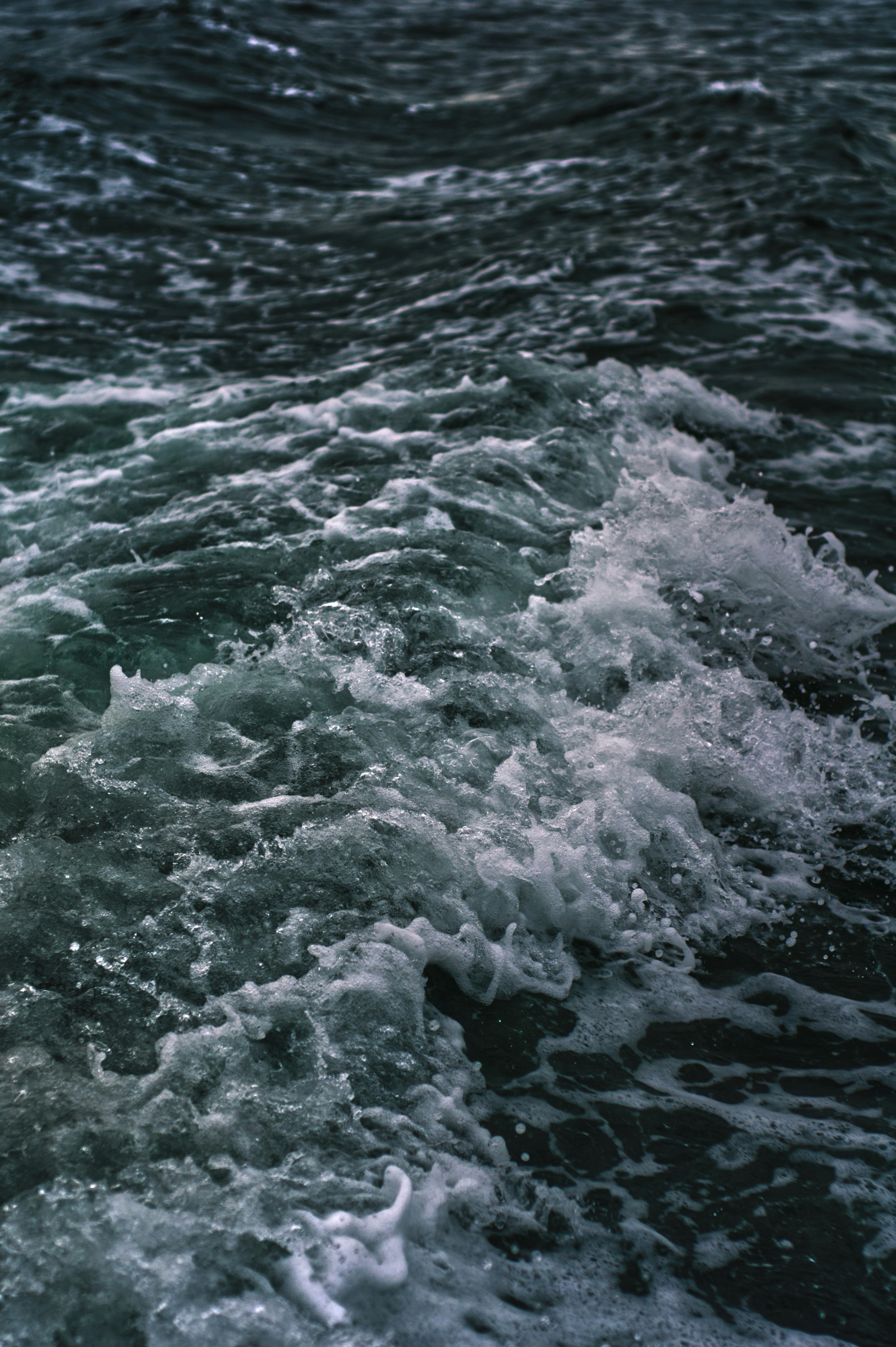 Photo by kingkonggeorge