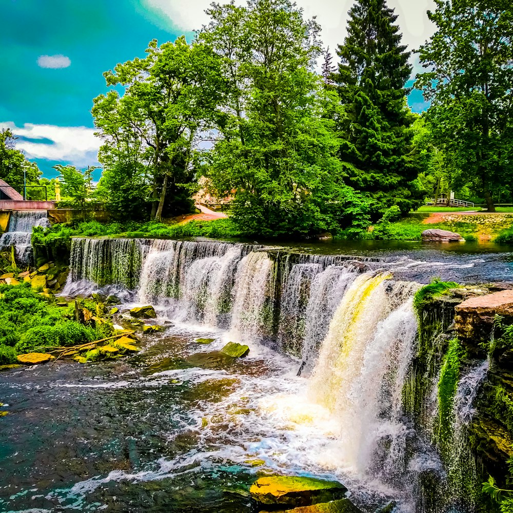 green trees beside river under blue sky during daytime