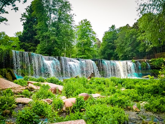 green trees and brown rocks in Keila waterfall Estonia