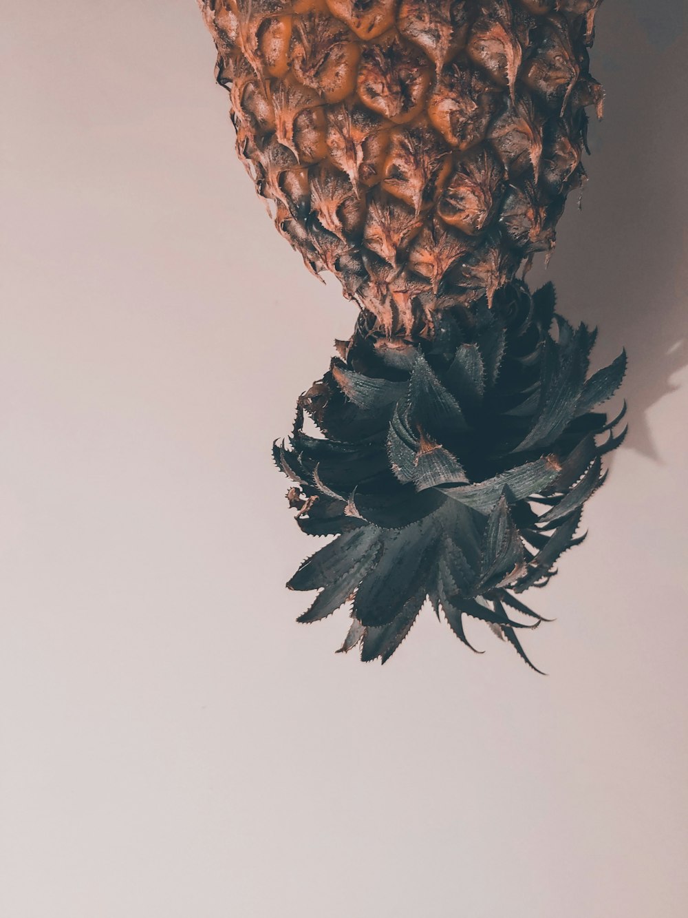 black and brown pineapple fruit