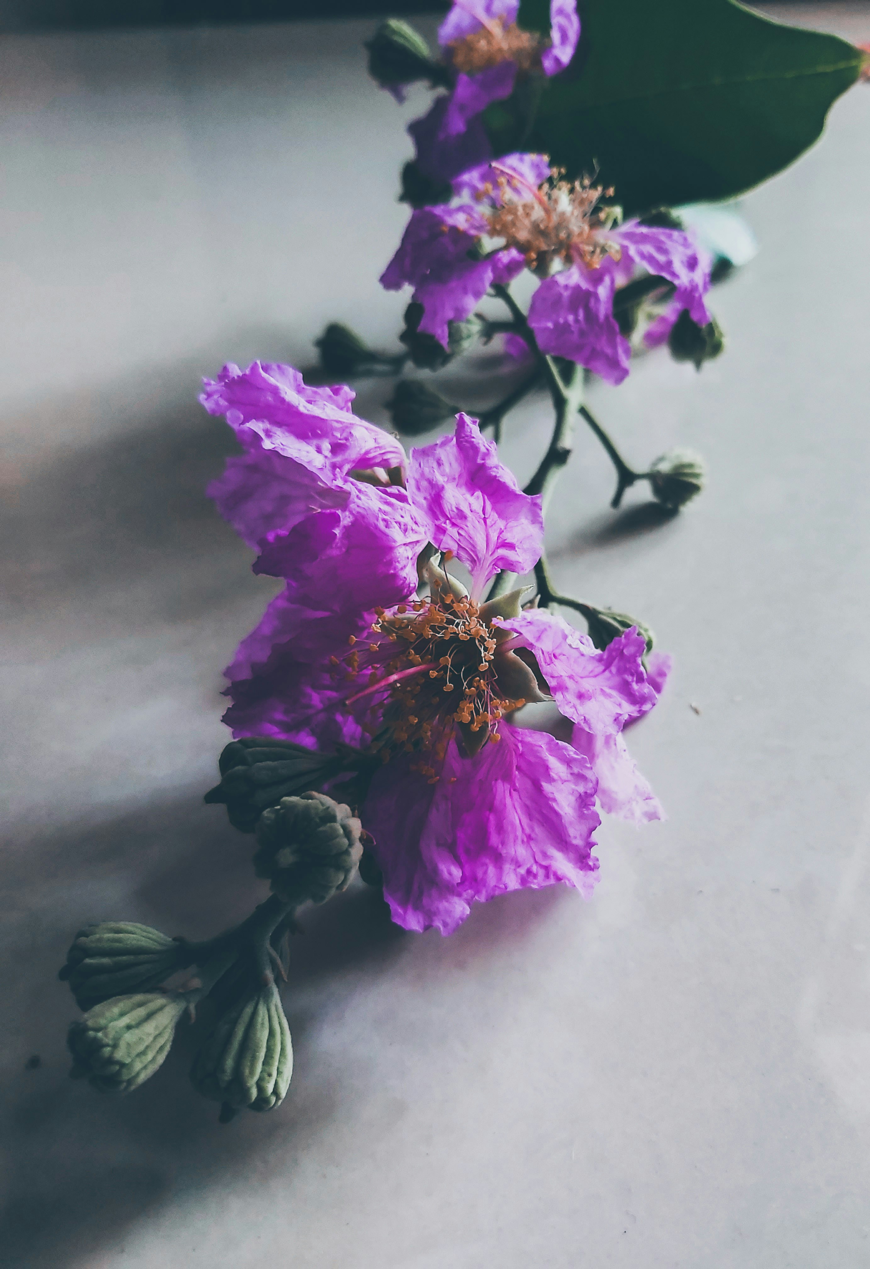 Photo by _tanyashrivastava