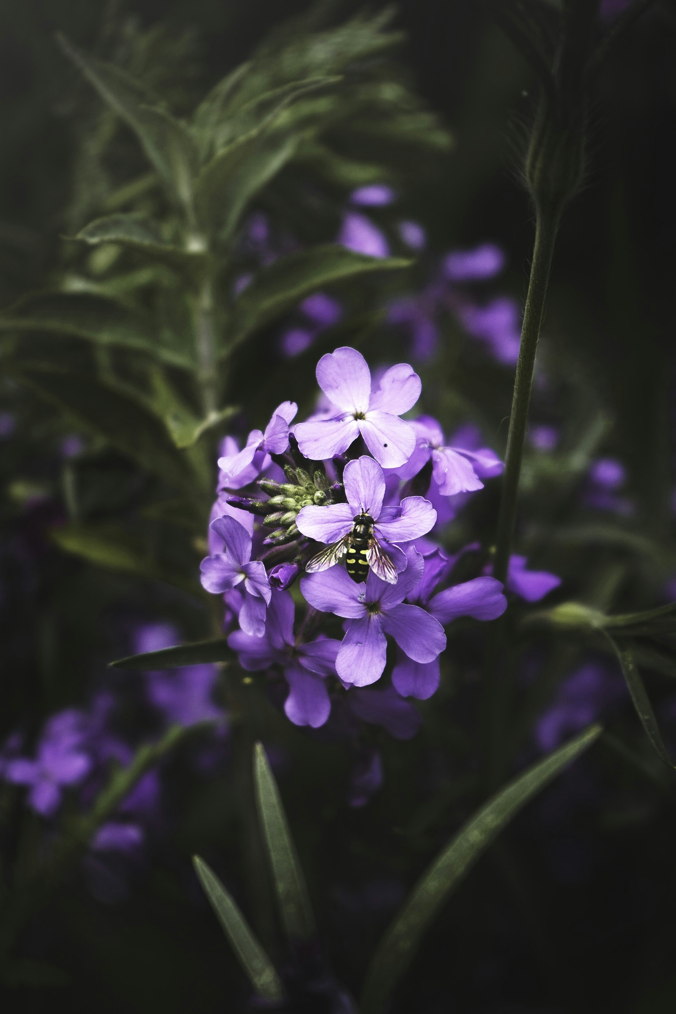 Photo by isabelnoschka