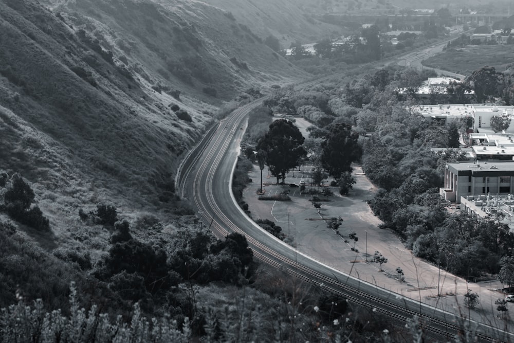 aerial view of cars on road between trees