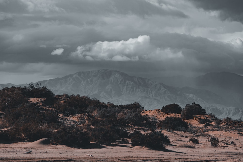 brown and white mountains under white clouds during daytime