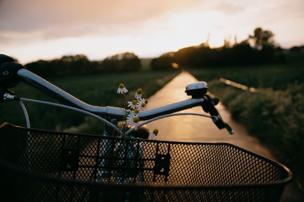 white flower on black bicycle handle bar during daytime