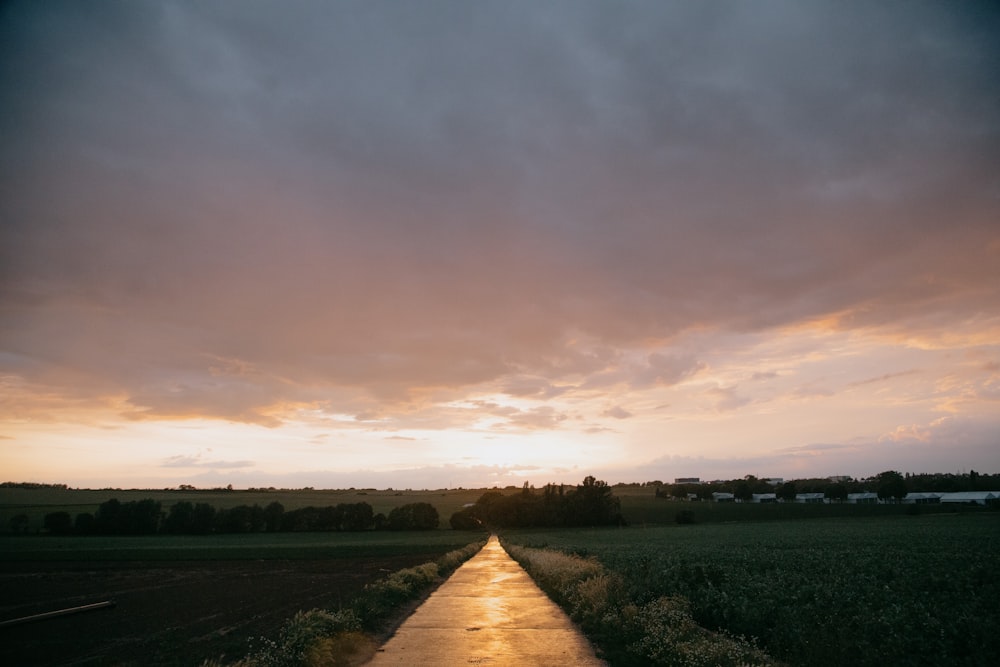 brown wooden pathway between green grass field under cloudy sky during daytime