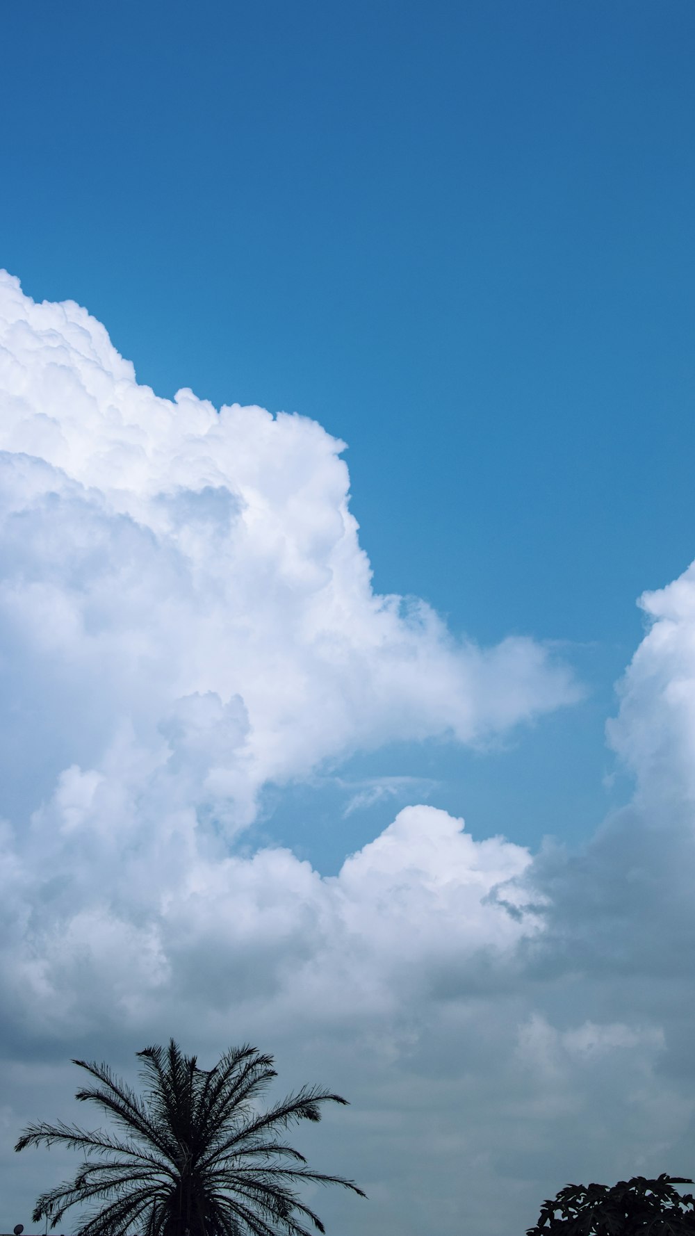 Weiße Wolken und blauer Himmel tagsüber