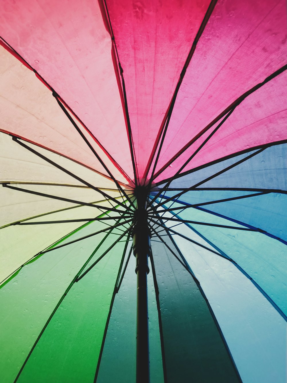 pink green and blue umbrella