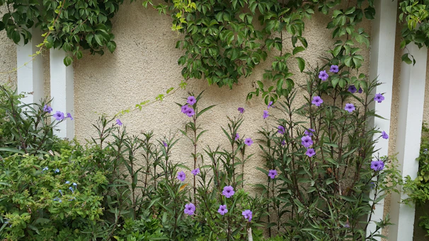 A decorative garden privacy screen wall surrounded by blooming flowers.