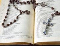 Personal Distractions and the Rosary. . . Everyday Help (Conclusion)