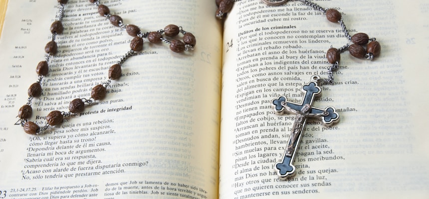 Personal Distractions and the Rosary. . . Everyday Help (Conclusion)