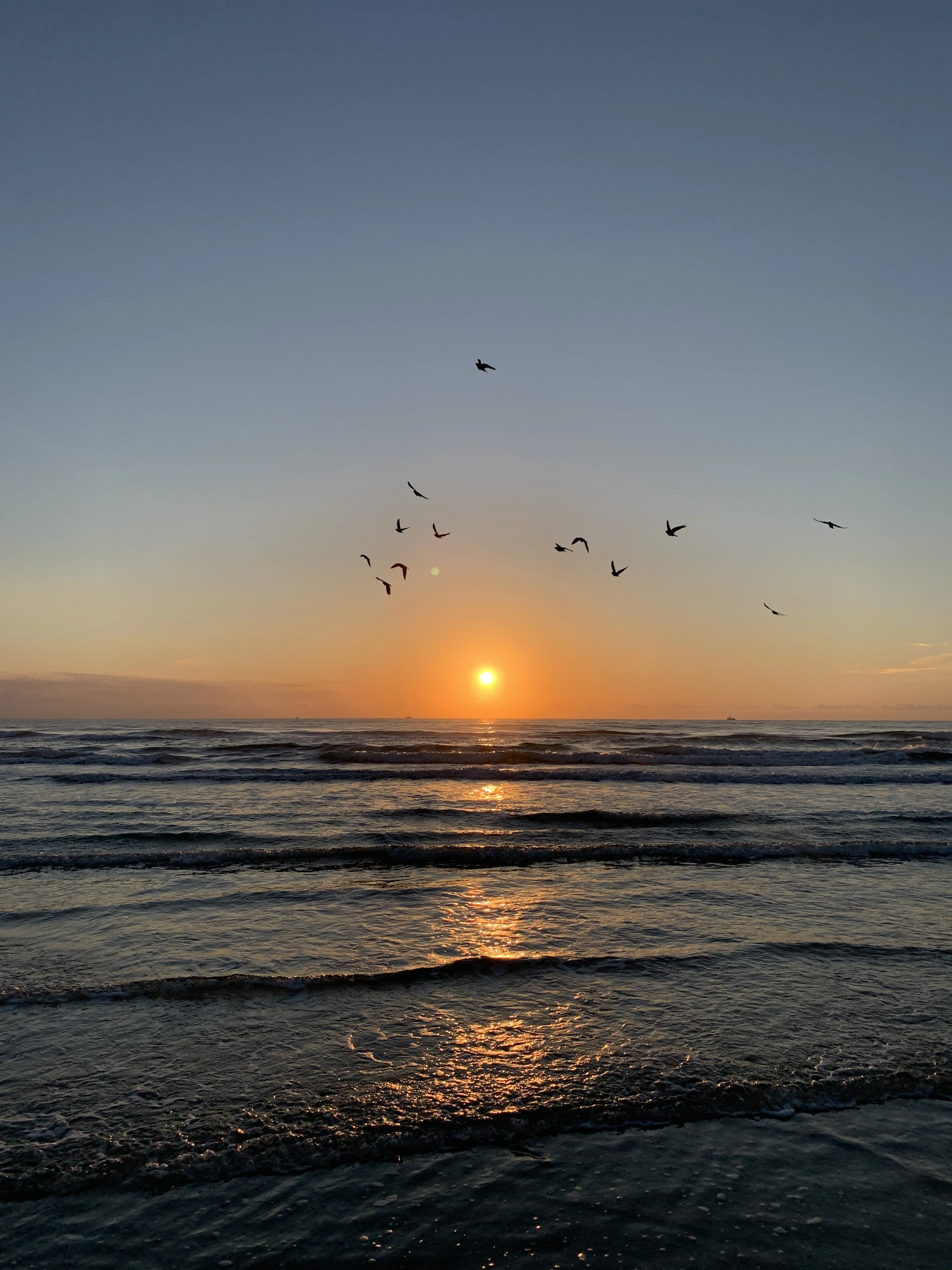 gray computer monitor