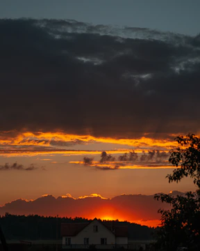 green trees and body of water during sunset