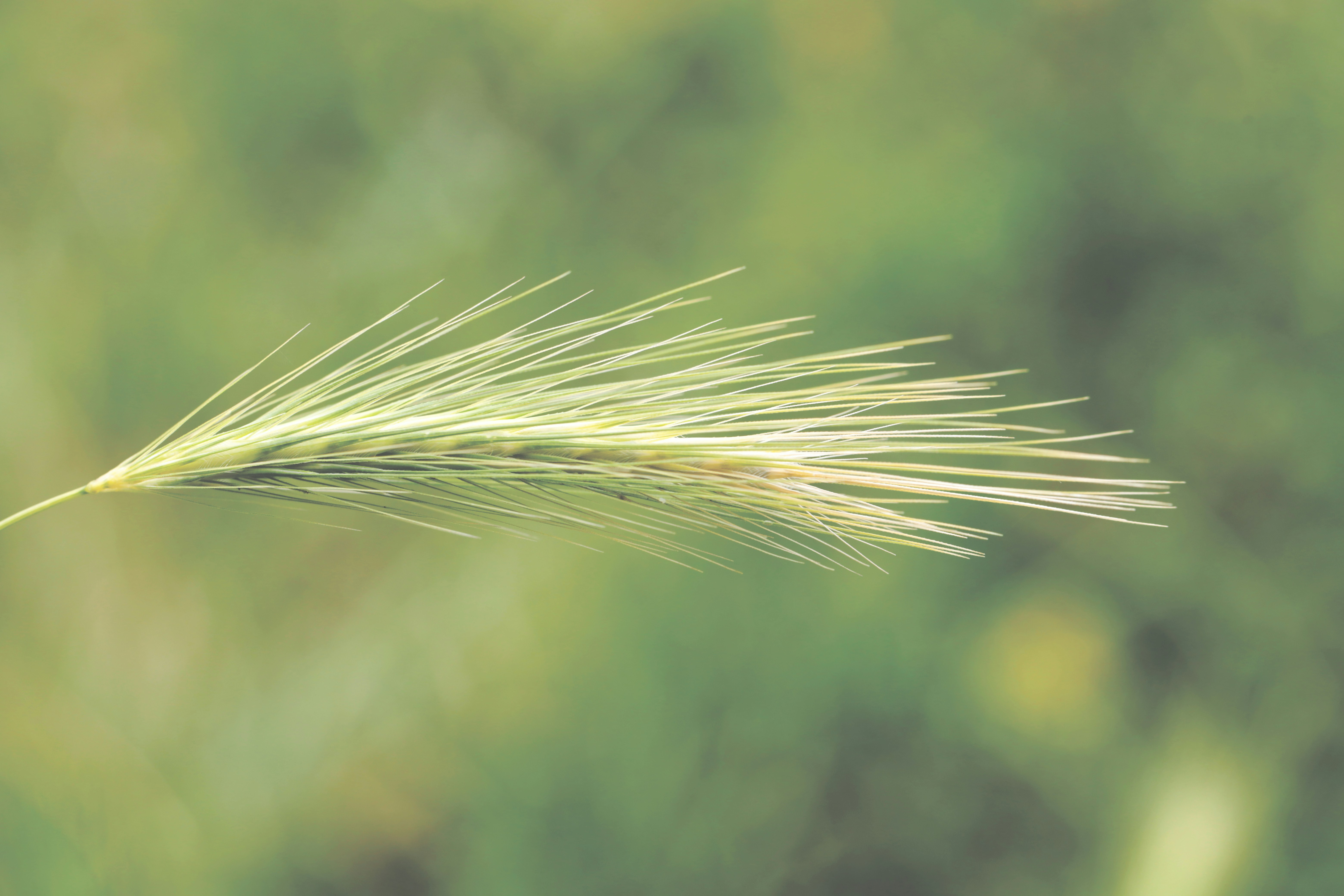 Photo by grievek1610begur